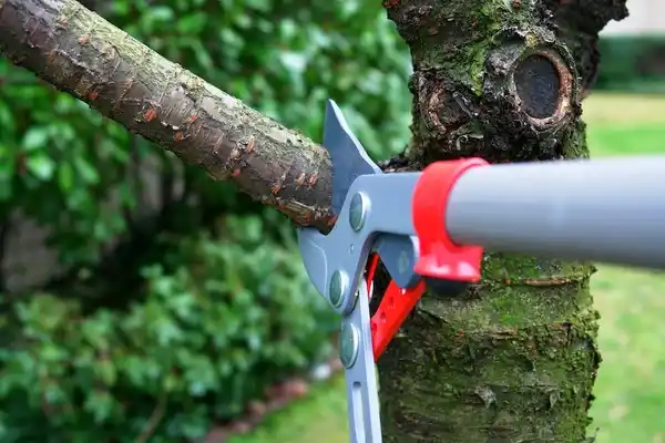 tree services Centre Hall